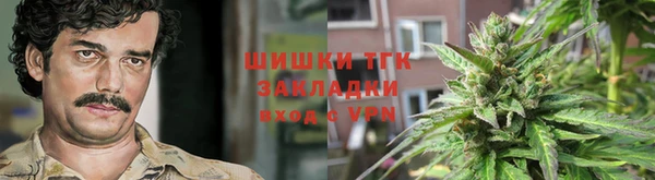 шишки Аркадак