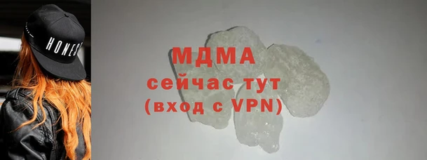 шишки Аркадак