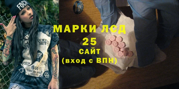 шишки Аркадак