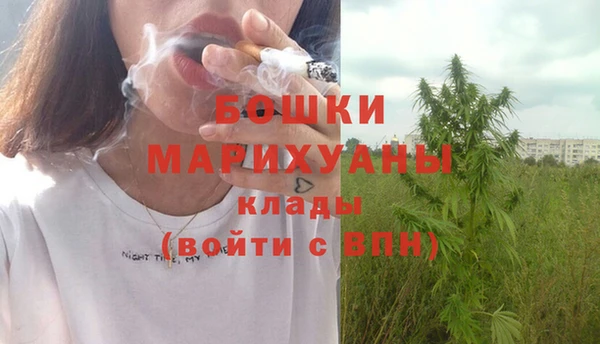 шишки Аркадак