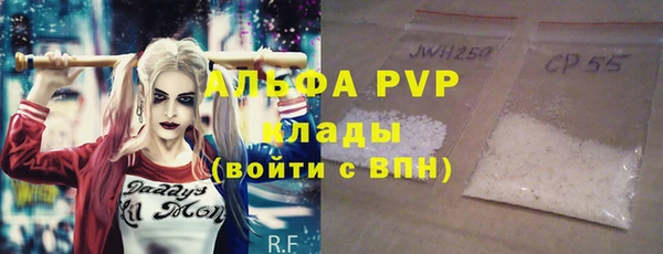 прущие грибы Протвино