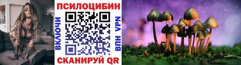 Псилоцибиновые грибы Psilocybine cubensis  Нижний Ломов 